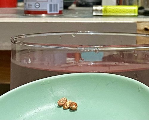 Susan LeGuyader's An Adventure in Water Casting - , General Education, Butane Torch, Soldering, Solder, water casting